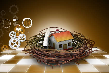 Business chart an house on nestの写真素材
