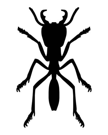 Antのイラスト素材