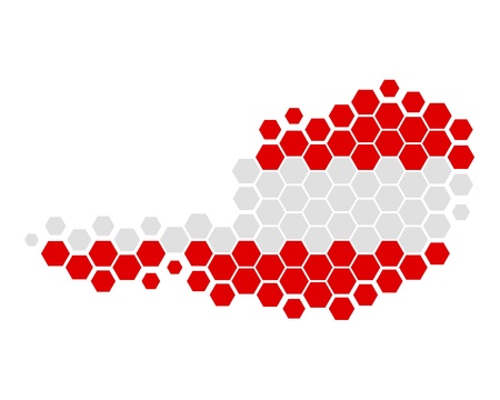 Map and flag of Austriaのイラスト素材