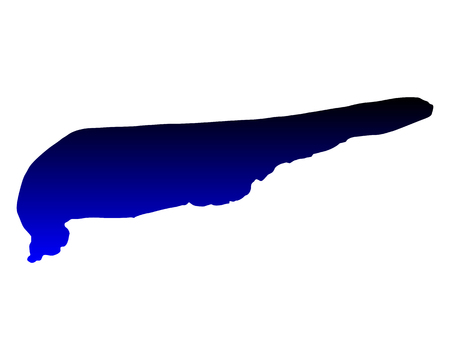 Map of Schiermonnikoogのイラスト素材