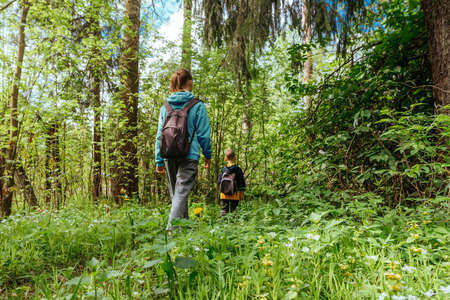 Two children walk along forest path with backpacks. Family summer hiking in woods. Camping in nature.の写真素材