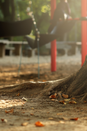 roots of an old tree standing on a plyground for children of an elementary school in bright sunny light - portrait orientation - background blanked out blurryの写真素材