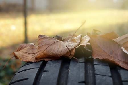 closeup view on tread of high performance car tire with autumn leaves in bright sunny light- car tuning and maintenance concept - copy space for text in blurry areasの写真素材