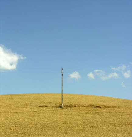           summerの写真素材