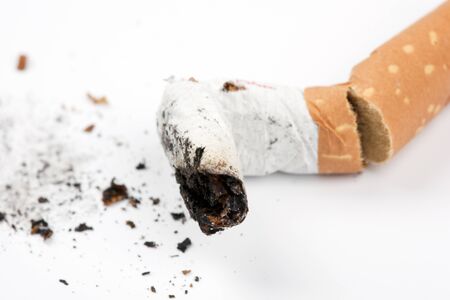 Cigarette bud on whiteの写真素材
