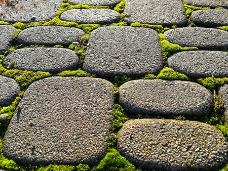 Rounded paving stones patternの写真素材
