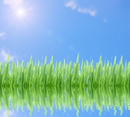 Green grass on cloudy blue sky with sunの写真素材