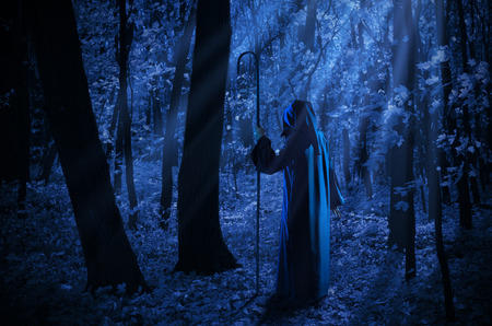 Witch at night in the moonlight forestの写真素材