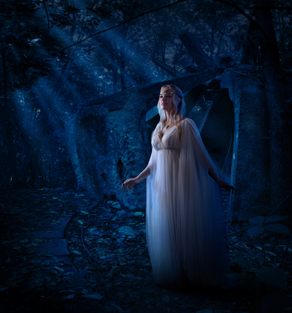 Young elf girl in night forestの写真素材