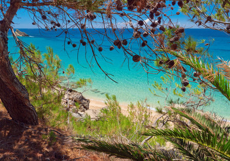 Yachts in Fiscardo at Kefalonia islandの写真素材