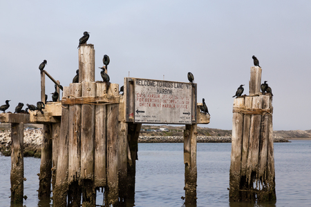 Welcome to Moss Landing Harbor sign with black birdsの写真素材