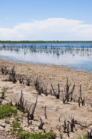 Low water levels at a Colorado state wildlife refuge in USA. 