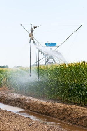 Cornfield in eastern Colorado, USA irrigated by a center pivot sprinkler systemの写真素材
