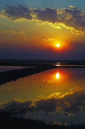 Sunrise in a marsh, cloudy sky, vertical orientation