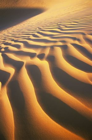 Ripples of desert dunes, sahara, Tunisia, Africa.