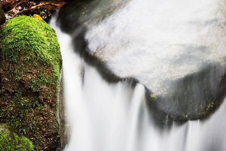 small waterfall on a creek in the woods; italian alps, europe.