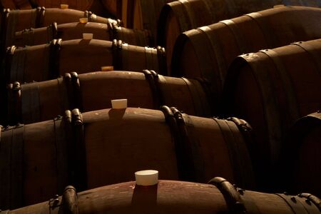 Wine barrels in wineyard cellar, Piemonte, Italy