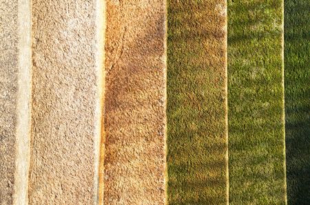 Stone stair coloured by seaweedsの写真素材