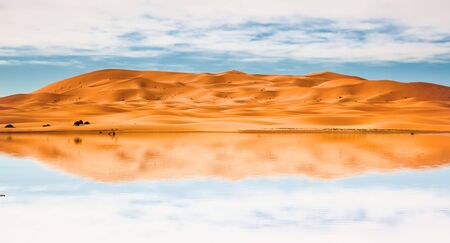 Big sand dunes reflected in a temporary desert lake. Erg Chebbi, Maroc.の写真素材