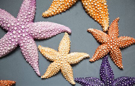 A set of colourfull ornamental starfish (or sea star)の写真素材
