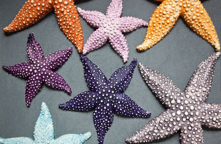 A set of colourfull ornamental starfish (or sea star)の写真素材