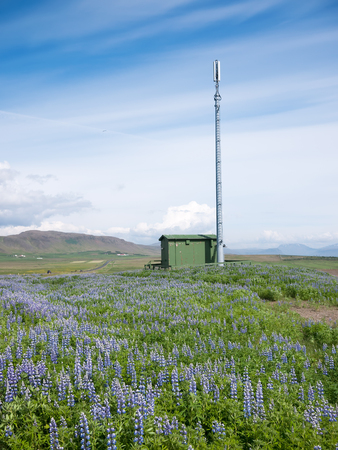 Mobile phone telecommunication radio antenna tower in a summer blooming field  Concepts  communication, environment, nature, electromagnetic pollution  Iceland, Europe の写真素材
