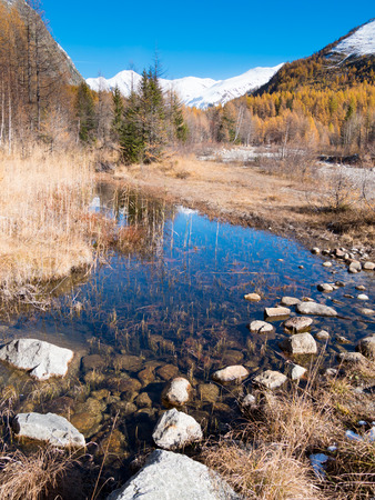 Small alpine mountain pond in fall - Val Ferret, Courmayer, Val dの写真素材