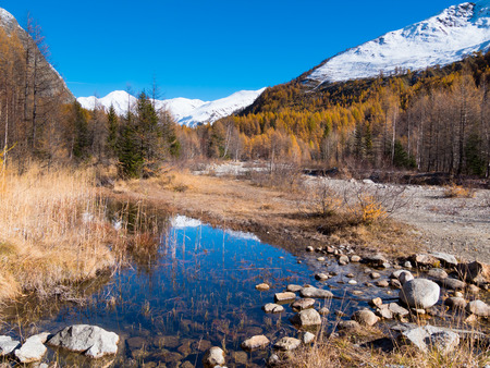 Small alpine mountain pond in fall - Val Ferret, Courmayer, Val dの写真素材