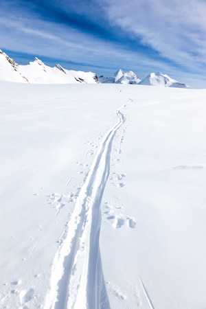 Ski tracks of a back country skier on the fresh snow of a large glacier. の写真素材