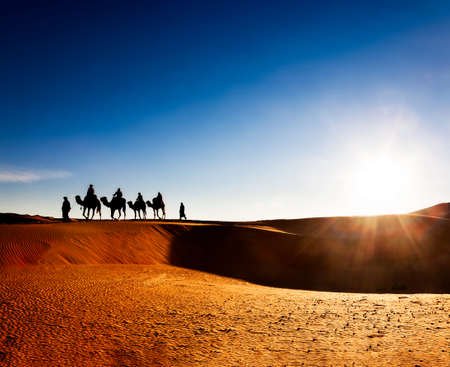 Exotic adventure: turist riding camels on sand dunes in desert at sunrise. Erg Chebbi, Morocco, Africa.の写真素材
