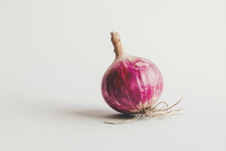 Single, whole, purple onion is featured against a plain white background. The onion is in focus, showing its intricate layers and the fibrous roots at its base. The lighting is soft and highlights the texture of the onion's skin.の素材