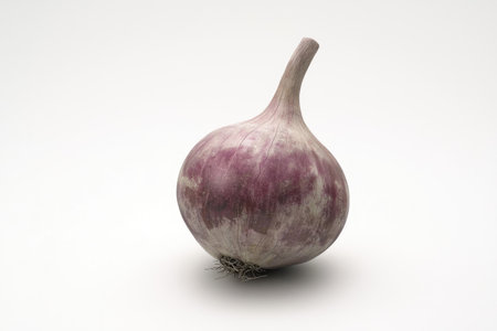 Single, whole garlic bulb, a deep purplish-gray color, is displayed against a plain white background.  The bulb is positioned slightly off-center, and its stem is visible.の素材