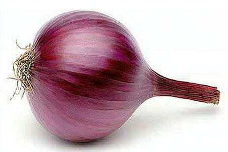 Single, whole red onion is featured in a close-up  shot against a plain white background. The onion exhibits a deep reddish-purple hue and displays its bulbous structure.  The stem and roots of the onion are visible, adding texture to the image.の素材