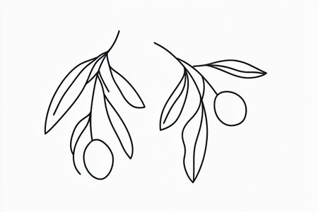 Simple black line drawing of an olive branch with leaves and olives.  The style is minimalist and elegant.の素材