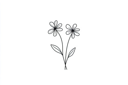 Simple line drawing of two flowers with stems and leaves. The flowers have detailed petals and the lines are thin and black. The image is suitable for use in graphic design projects, web design, or print media.の素材