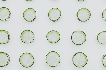 Repeating pattern of round, thinly sliced vegetable sections against a plain white background.  Each slice displays the pale interior and a distinctive green edge. The pattern is meticulously arranged in a grid formation.の素材