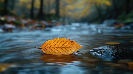 A close-up of an autumn leaf floating on the surface of a flowing stream, with trees in soft focus behind it. The water is crystal clear and reflects the yellow hues of the fall foliage. A small rock sits beside the riverbank, adding to its natural beauty. --chaos 30 --ar 16:9 --stylize 750 --v 6.1 Job ID: 831cb837-6178-46eb-a7d6-a6be3685700eの素材