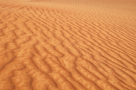 Golden desert sandsの写真素材