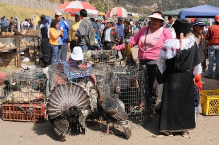 Ecuador, Otavalo - August 25  Ecuadorian ethnic women in national clothes selling agricultural products and other food items on a market in the Otavalo village on August 25, 2012 in Otavaloのeditorial素材