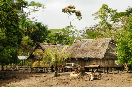 Peru, Peruvian Amazonas landscape. The photo present typical indian tribes settlement in the Amazonのeditorial素材