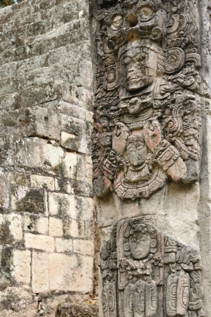Honduras, Mayan city ruins in Copan  The picture presents detail of the Stela P on the West Plazaのeditorial素材