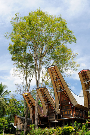 Traditional sweeping and elaborately painted houses with boat-shaped roofs in Tana Toraja.のeditorial素材