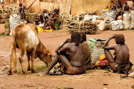 The woman from Hamer people on the local marketplace in Dimeka, Omo valleyのeditorial素材