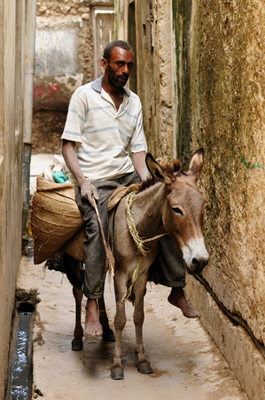 LAMU, KENYA - JUNE 11: Resident of the Lamu archipelago sitting on the donkey which serves him to for moving on an island as well as for the transportation of goods in the Lamu in June 11, 2013のeditorial素材