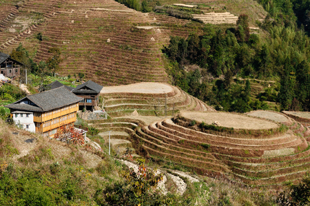 Ancient beautiful rice terraces of Longsheng near Guilin, Guanxi province, Chinaのeditorial素材