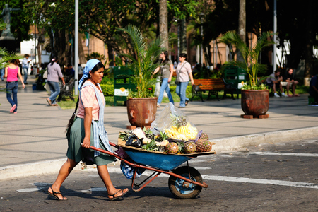 SATA CRUZ, BOLIVIA - 07 SEPTEMBER 2011:Indigenous Native American from Bolivia selling fruits from the wheelbarrow on city streets Santa Cruz townのeditorial素材