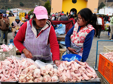 ECUADOR, PUJILI - 11 AUGUST 2012; Indigenous Ecuadorian woman in national clothes selling fresh chikcen on a market in the Pujili villageのeditorial素材