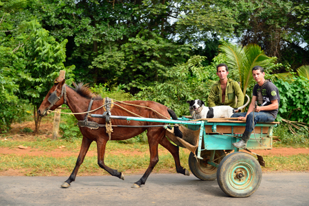 CUBA, VINALES - 28 OCTOBER 2016:  Vintage horse carriage used for a transport of the agricultural produce and people in the Valley de Vinalesのeditorial素材