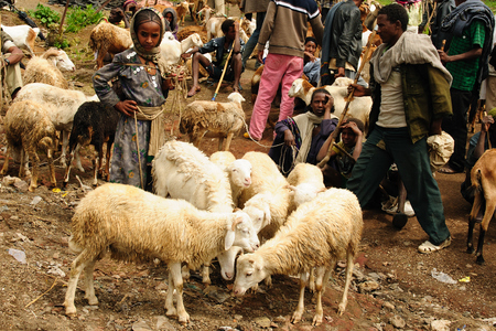 LALIBELA, ETHIOPIA - 31 AUGUST 2013: Local Ethiopian people being a market trader in the Lalibela town in Ethiopiaのeditorial素材