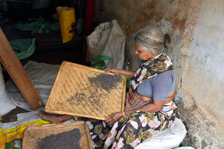 COCHIN, INDIA - 29 NOVEMBER 2018: Kochi was an important spice trading centre on the west coast of India. Spices magazines. Selection of spicesのeditorial素材